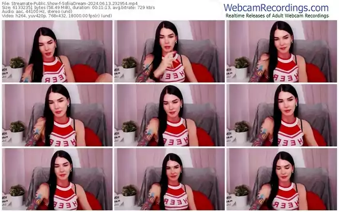 2024/06/13/streamate-sofiiadream-23-29-54