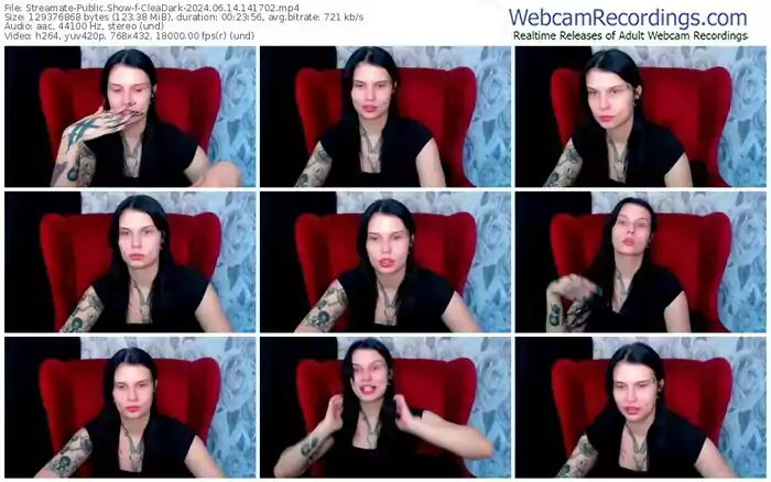 2024/06/14/streamate-cleadark-14-17-02