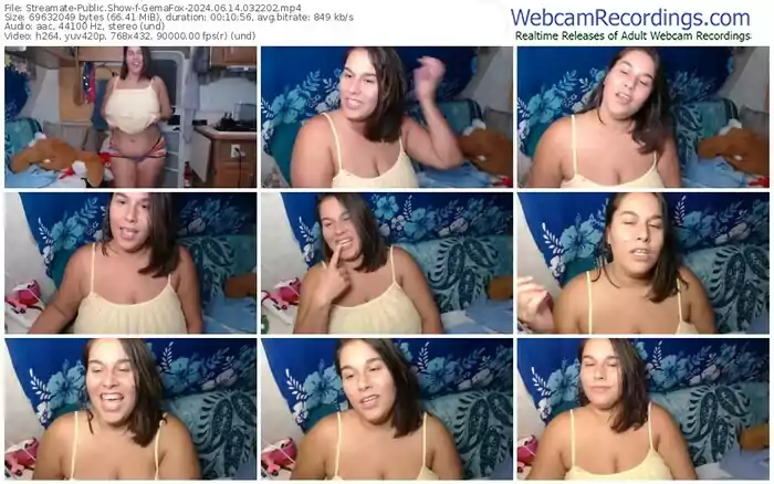 2024/06/14/streamate-gemafox-03-22-02