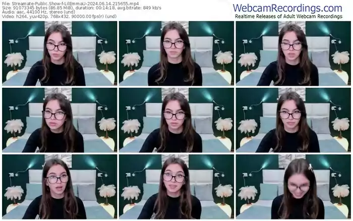 2024/06/14/streamate-lilemmau-21-56-55