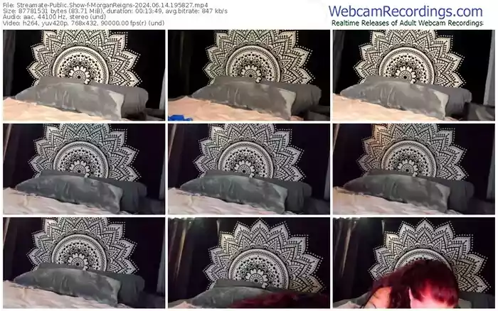2024/06/14/streamate-morganreigns-19-58-27