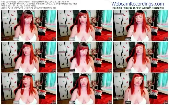 2024/06/14/streamate-tallsweetmilf-16-14-35