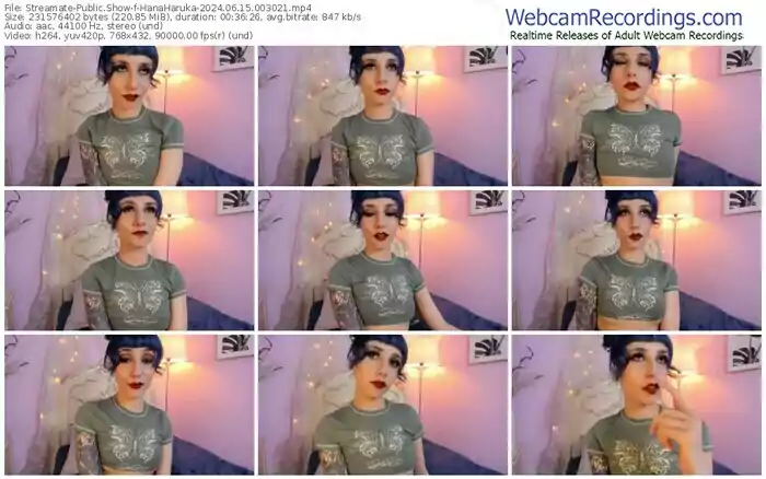 2024/06/15/streamate-hanaharuka-00-30-21