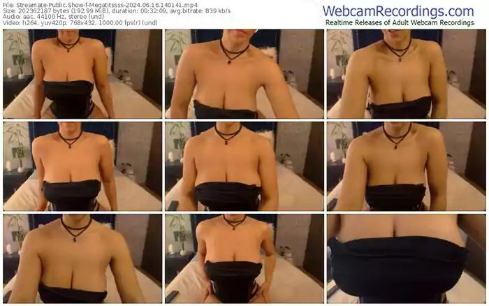 2024/06/16/streamate-megatitssss-14-01-41