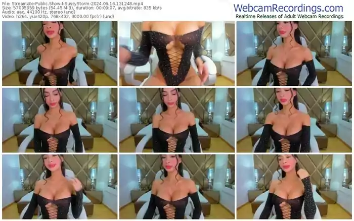 2024/06/16/streamate-sussystorm-13-12-48