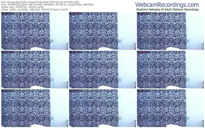 2024/06/16/streamate-tianateq-09-14-44