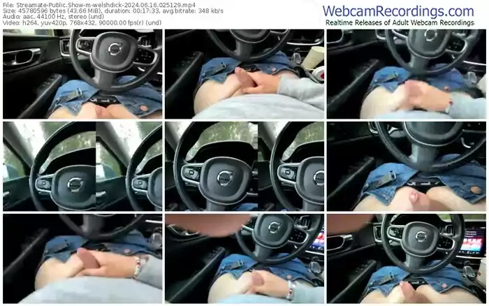 2024/06/16/streamate-welshdick-02-51-29