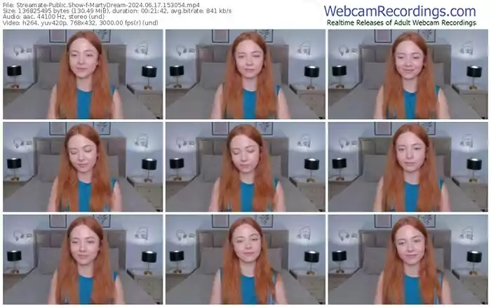 2024/06/17/streamate-martydream-15-30-54