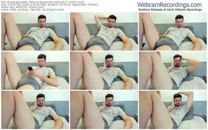 2024/06/17/streamate-waynenort-13-20-17