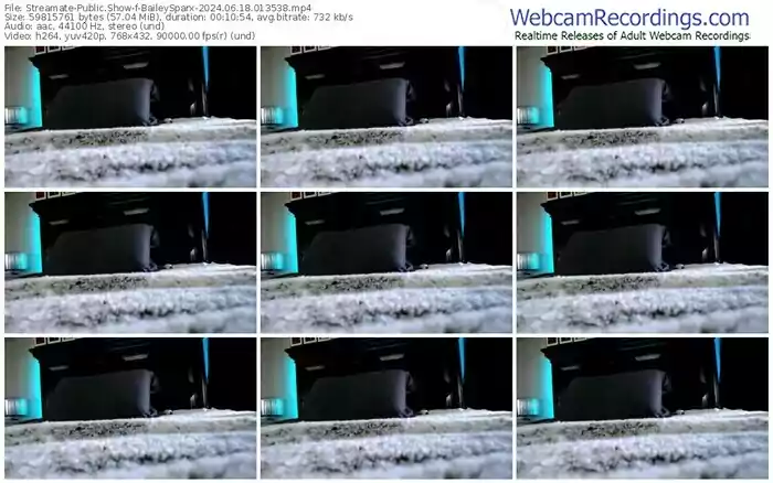 2024/06/18/streamate-baileysparx-01-35-38