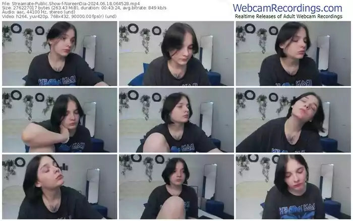 2024/06/18/streamate-noreendia-06-45-28