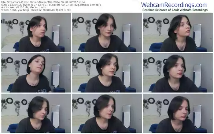 2024/06/18/streamate-noreendia-10-55-10