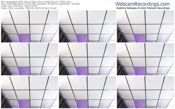 2024/06/19/streamate-alex_dinero-17-49-00