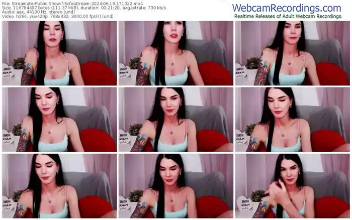 2024/06/19/streamate-sofiiadream-17-10-22