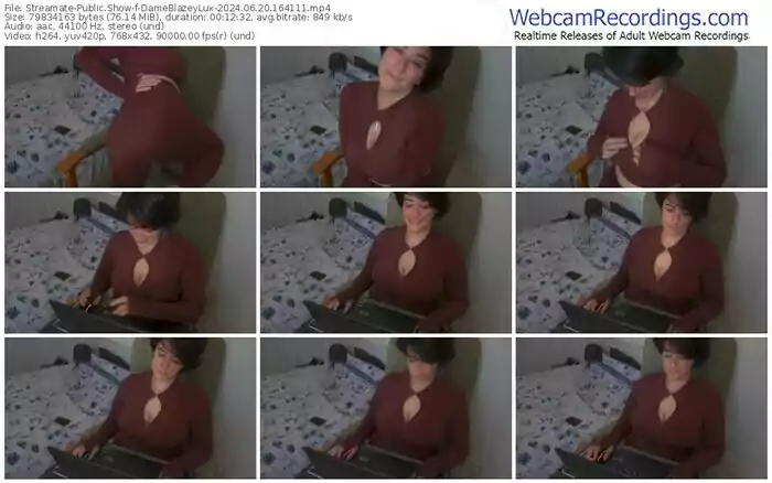 2024/06/20/streamate-dameblazeylux-16-41-11