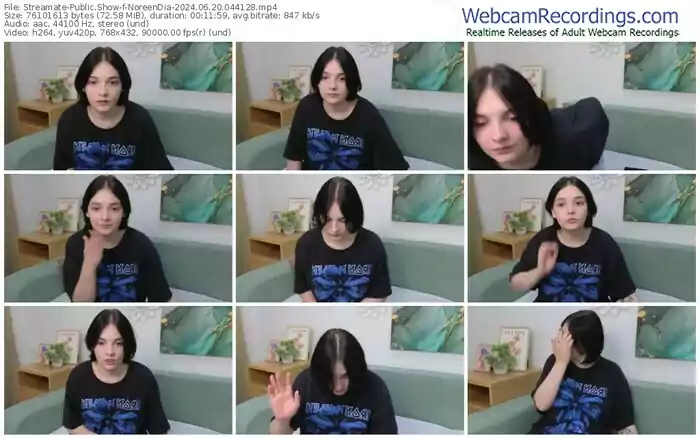 2024/06/20/streamate-noreendia-04-41-28