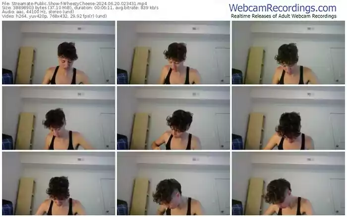 2024/06/20/streamate-wheezycheese-02-34-31