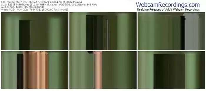 2024/06/21/streamate-dreabanks-00-04-45