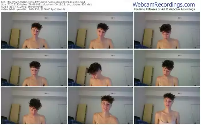 2024/06/21/streamate-wheezycheese-01-49-06