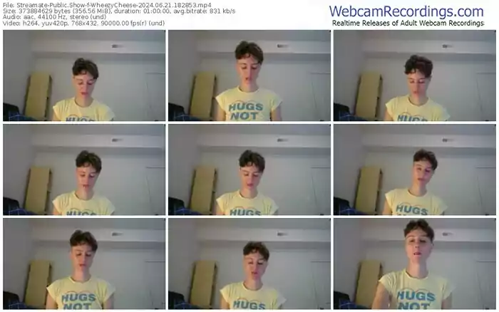 2024/06/21/streamate-wheezycheese-18-28-53