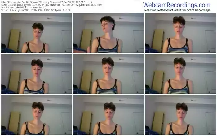 2024/06/22/streamate-wheezycheese-22-08-10