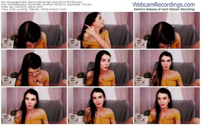 2024/06/23/streamate-sofiiadream-00-23-08