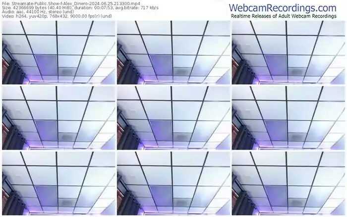 2024/06/25/streamate-alex_dinero-21-33-00