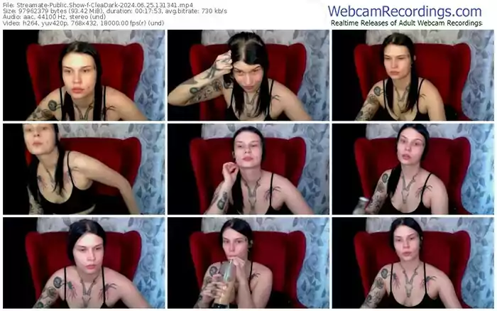 2024/06/25/streamate-cleadark-13-13-41