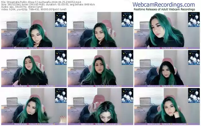 2024/06/25/streamate-couchwaifu-23-30-52