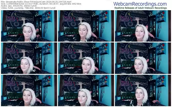 2024/06/25/streamate-missquincam-19-47-26