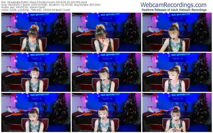 2024/06/25/streamate-punkunicorn-02-10-05