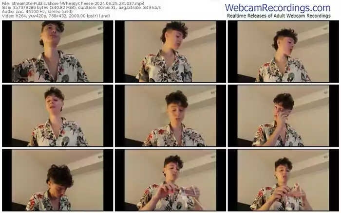 2024/06/25/streamate-wheezycheese-23-10-37