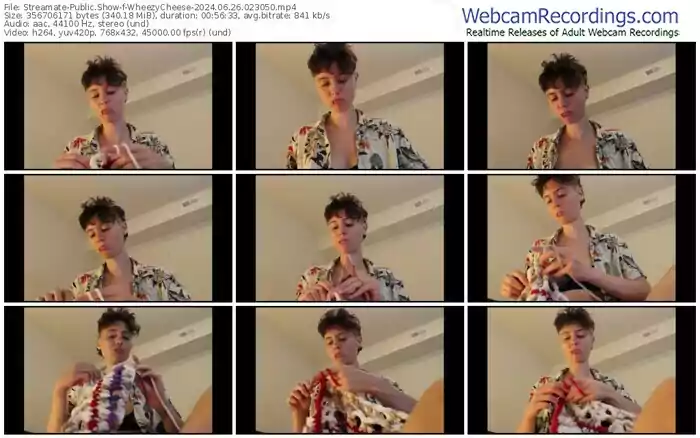 2024/06/26/streamate-wheezycheese-02-30-50