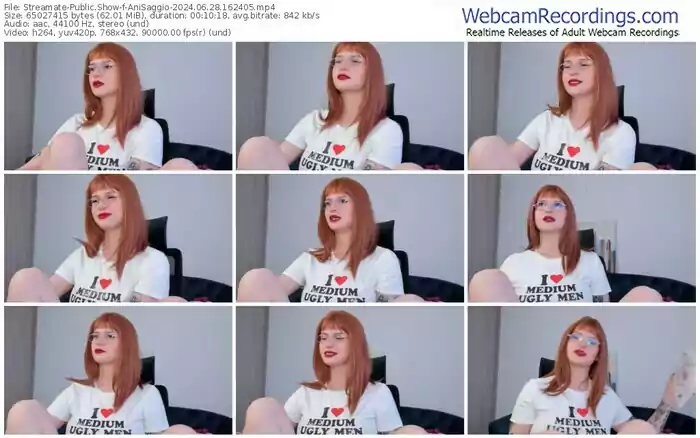 2024/06/28/streamate-anisaggio-16-24-05