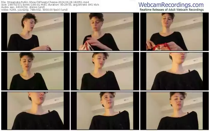 2024/06/28/streamate-wheezycheese-18-20-51