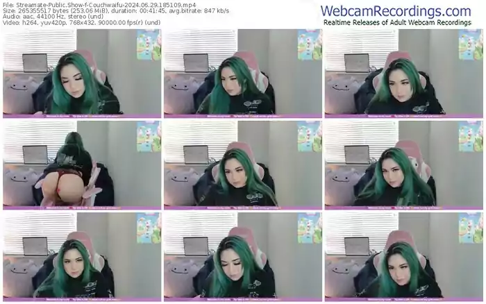 2024/06/29/streamate-couchwaifu-18-51-09