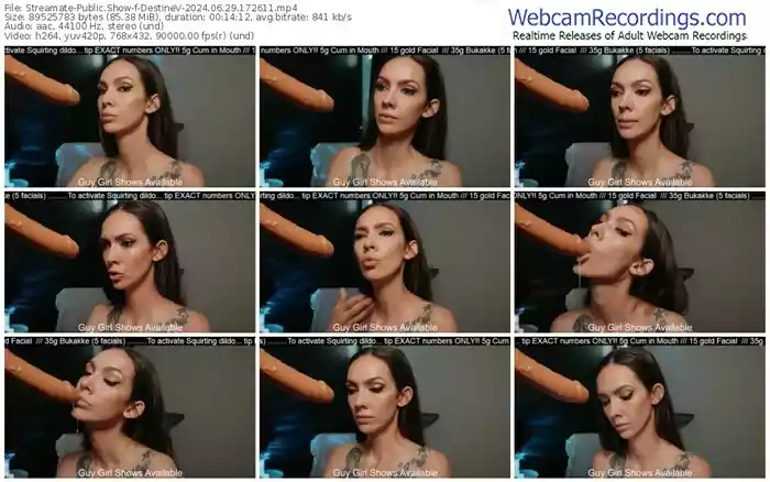 2024/06/29/streamate-destinev-17-26-11