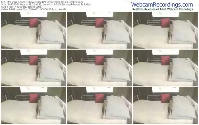 2024/06/29/streamate-gizellewintour-12-20-30