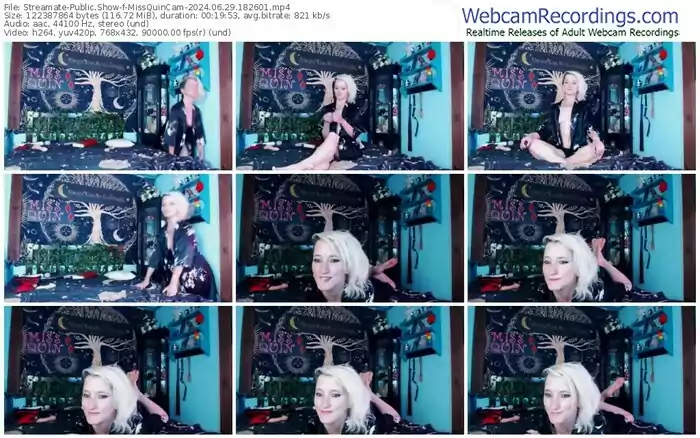 2024/06/29/streamate-missquincam-18-26-01