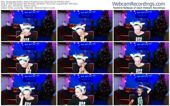 2024/06/29/streamate-punkunicorn-03-54-02