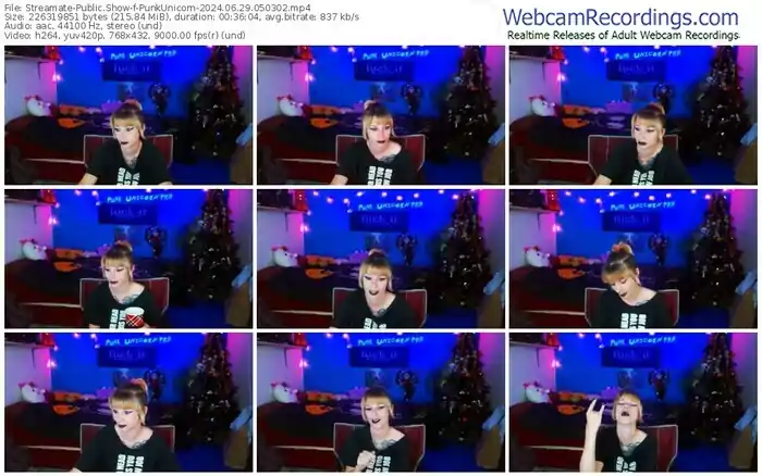 2024/06/29/streamate-punkunicorn-05-03-02