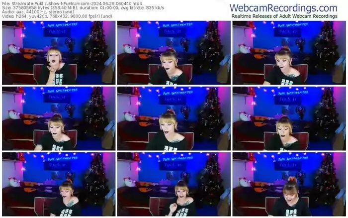 2024/06/29/streamate-punkunicorn-06-04-40