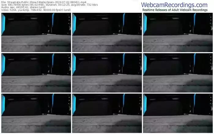 2024/07/02/streamate-baileysparx-08-04-11