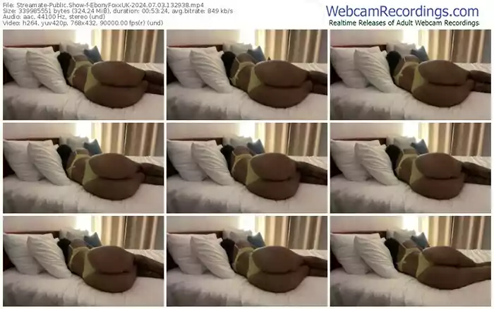 2024/07/03/streamate-ebonyfoxxuk-13-29-38