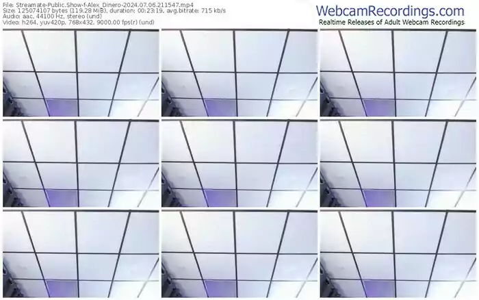 2024/07/06/streamate-alex_dinero-21-15-47