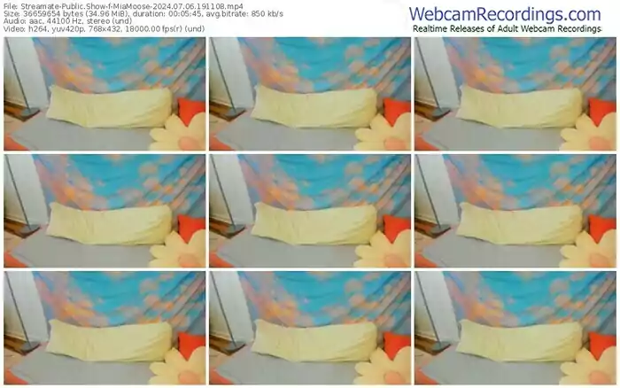 2024/07/06/streamate-miamoose-19-11-08