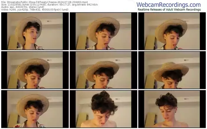 2024/07/08/streamate-wheezycheese-23-44-00