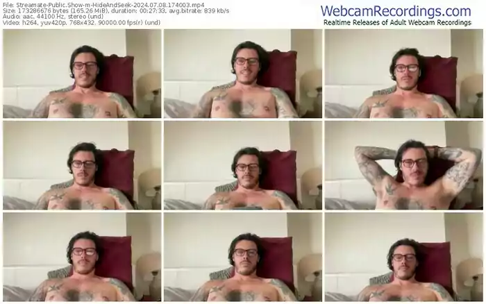 2024/07/08/streamate-hideandseek-17-40-03