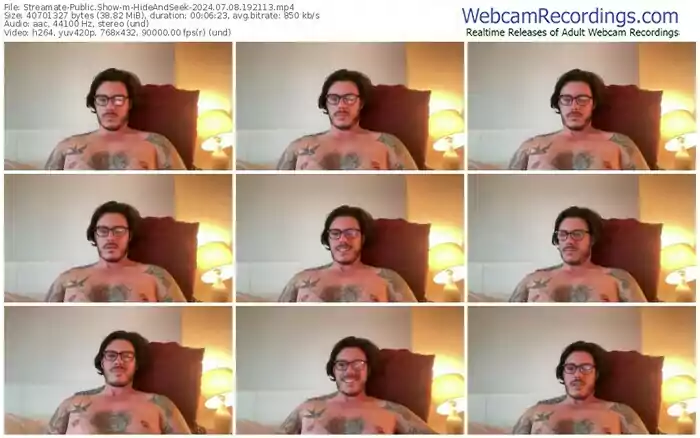 2024/07/08/streamate-hideandseek-19-21-13