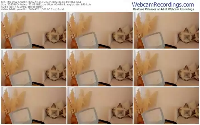 2024/07/09/streamate-isabelmeyer-19-50-14